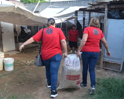 La magia de ayudar: Corazones solidarios se unen para que Rosy Cortez ofrezca un hogar lleno de cariño a sus 23 perritos en Culiacán