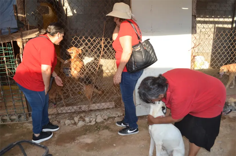 Haciendo Magia: manos solidarias que transforman el amor en alimento. Foto: Juan Madrigal
