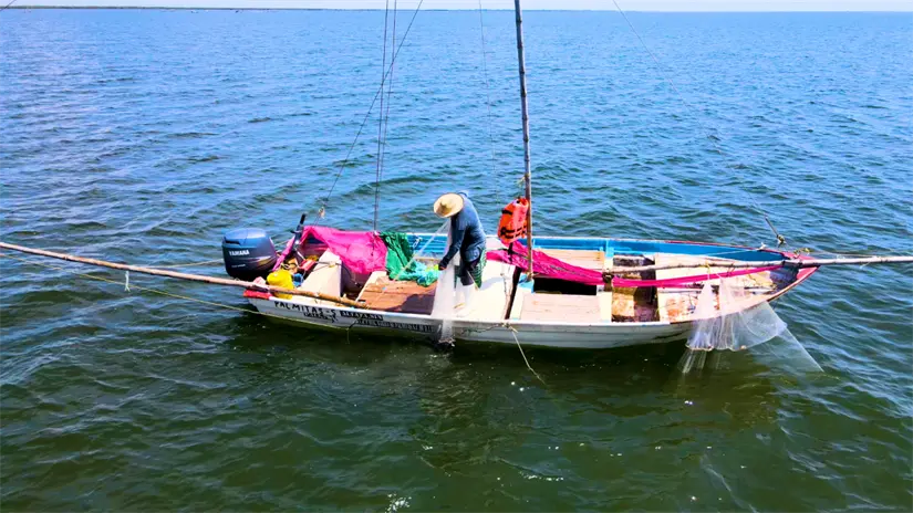 Las redes suriperas pueden ser operadas por un solo pescador. El aire y la corriente marina hacen el resto del trabajo