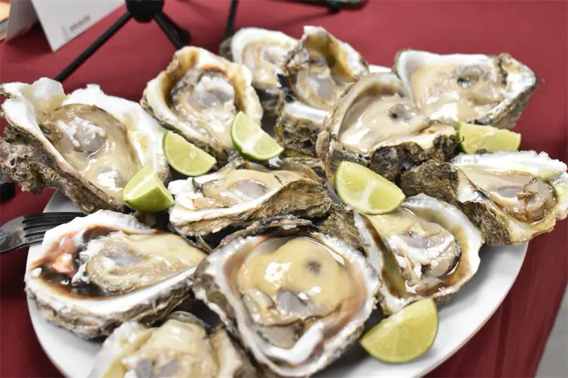 Durante la Feria del Ostión Altata 2025, los visitantes podrán degustar ostiones provenientes de aguas clasificadas y monitoreadas, garantizando su frescura y calidad sanitaria, según informó la Secretaría de Pesca y Acuacultura estatal.