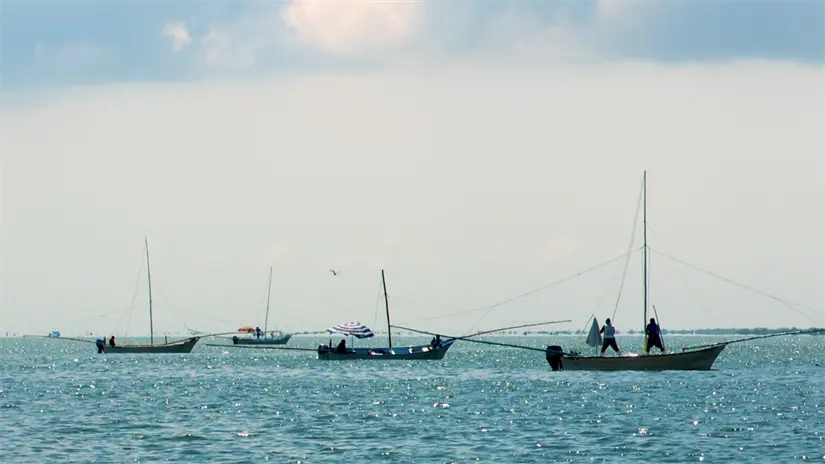 Pesca con redes suriperas utilizando la