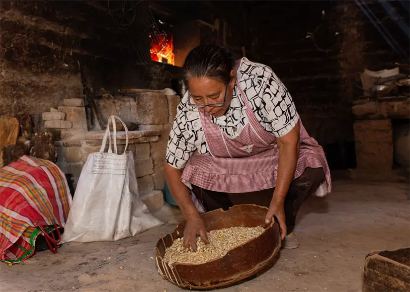 El grano se lava dos veces antes de molerse. Foto: cortesía.