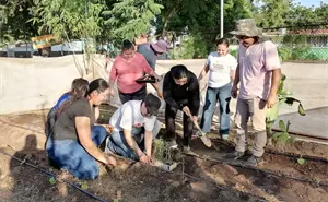 Vecinos transforman el Parque Prados del Sol La Tundra con un huerto urbano en Culiacán
