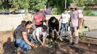 Vecinos transforman el Parque Prados del Sol La Tundra con un huerto urbano en Culiacán