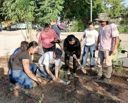 Vecinos transforman el Parque Prados del Sol La Tundra con un huerto urbano en Culiacán