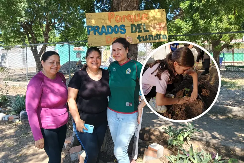 El huerto urbano del Parque Prados del Sol La Tundra, además de ser fuente de alimento, se ha vuelto un punto de encuentro comunitario.