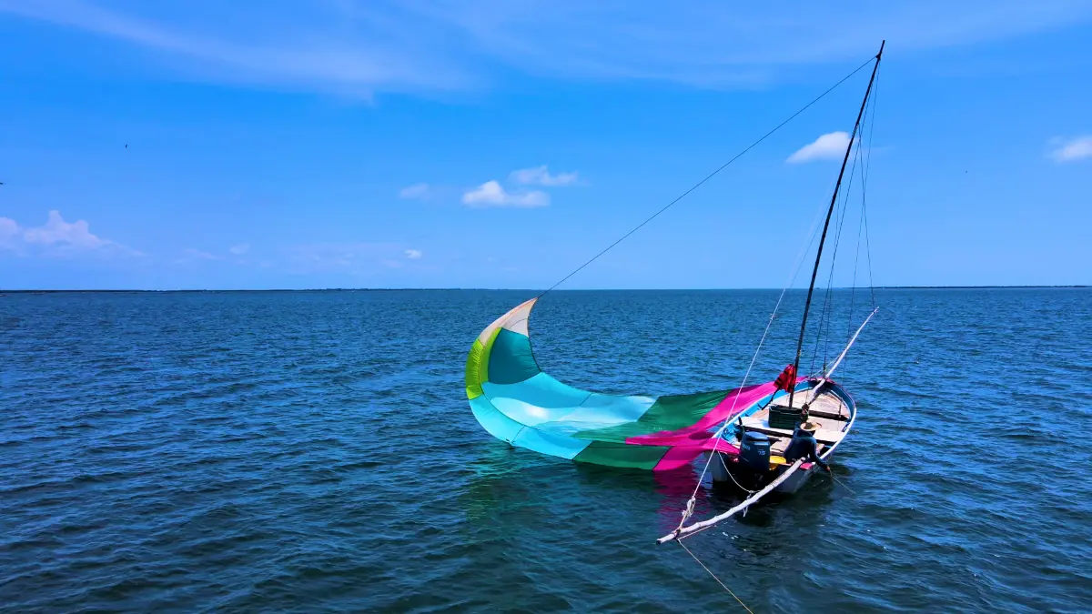 Las redes suriperas son selectivas para la pesca de camarón excluyendo otra fauna marina, impulsan la embarcación con viento y corriente marina. En eso radica la sustentabilidad.