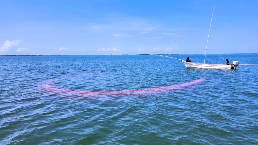 Redes suriperas usando la vela sumergida llamada