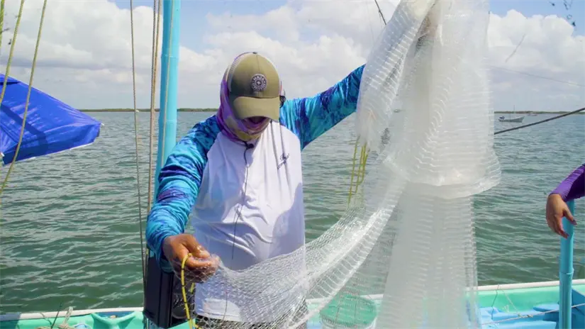 Una falda de arrastre y unos bolsos elevados permiten la captura selectiva de camarón en bahías de Sinaloa