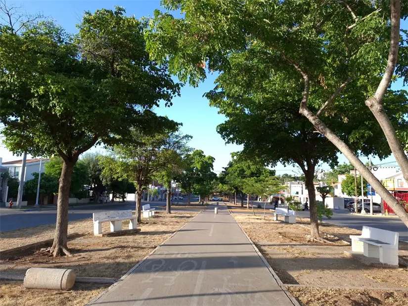 Villa Universidad y las colonias que impulsaron una nueva identidad en Culiacán