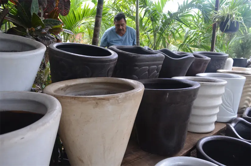 Entre macetas y hojas verdes, Jorge Valencia López ha convertido su vivero en un espacio donde florecen la esperanza, el trabajo y el amor por la naturaleza. Foto: Juan Madrigal
