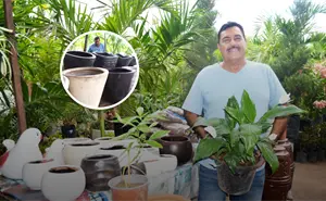 Jorge Valencia, más que vender plantas, cultiva alegría y enseña que cuidar la naturaleza también es una manera de sembrar paz en Culiacán