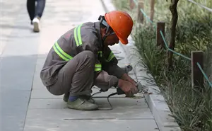 Menos mexicanos se fueron a Estados Unidos en 2025