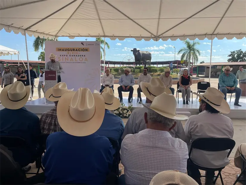 Se busca que todos puedan disfrutar de la feria. Foto: TBN