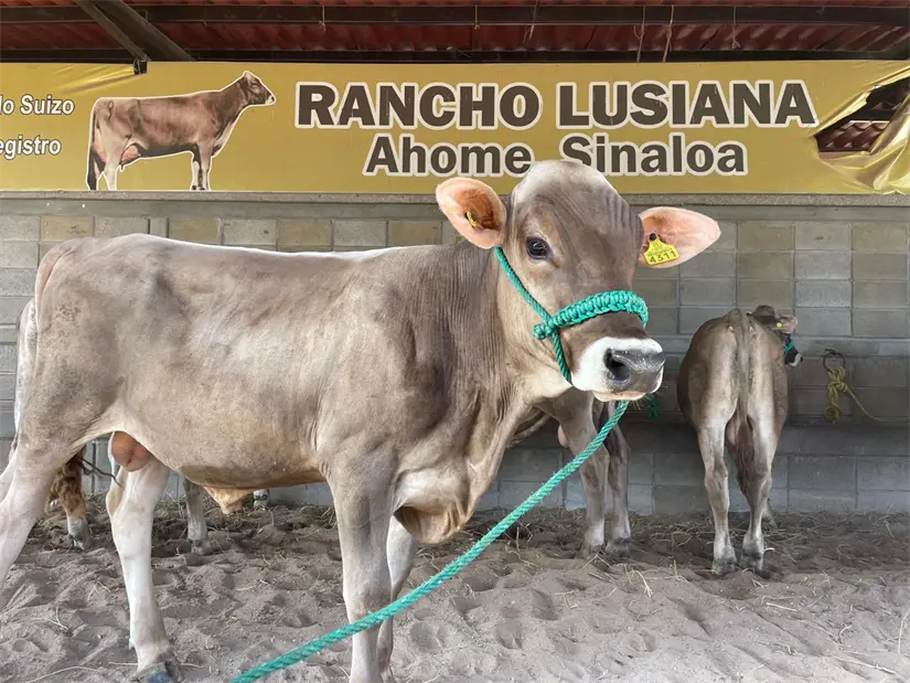 Las autoridades tomarán diversas acciones para asegurar la tranquilidad. Foto: TBN