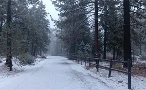 Clima en Baja California: inicia diciembre con bajas temperaturas y heladas
