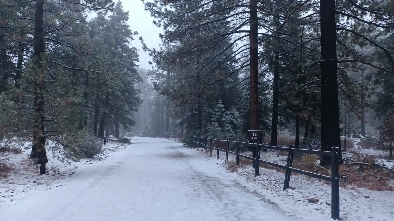 Clima en Baja California: inicia diciembre con bajas temperaturas y heladas