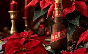 ¿Quién es el dueño de la cerveza Noche Buena? La bebida favorita de las fiestas decembrinas