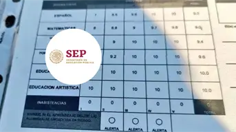 Entrega de calificaciones SEP 2025: cómo revisarlas en línea con la CURP