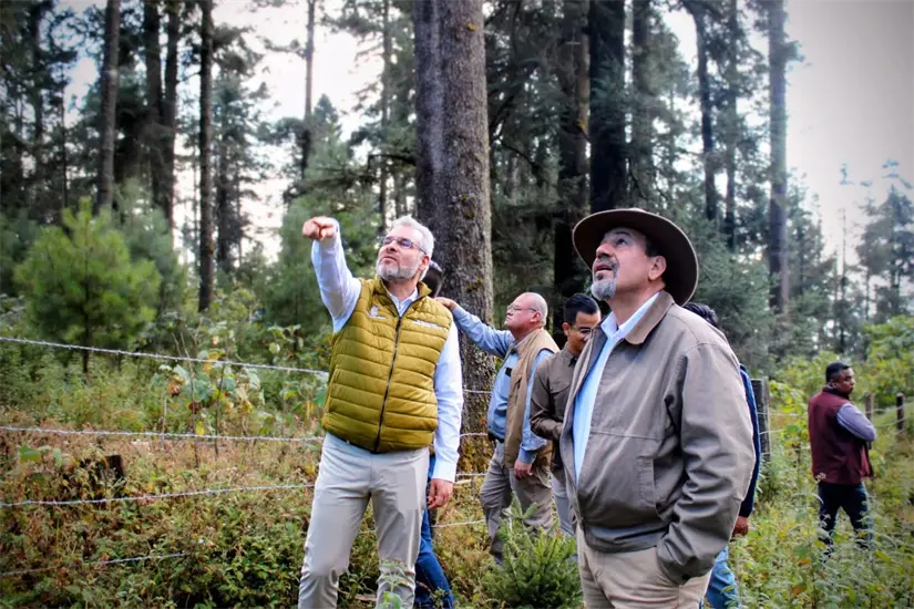 El gobernador de Michoacán abre santuarios de la Monarca en la temporada 2025. Foto: Cortesía
