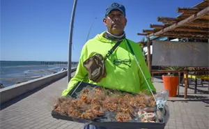 José Rafael Sánchez Plata: el vendedor de cocadas que mantiene viva la tradición en Altata