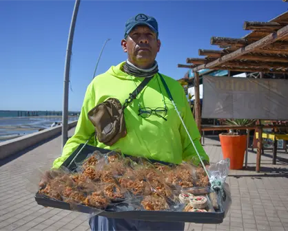 José Rafael Sánchez Plata: el vendedor de cocadas que mantiene viva la tradición en Altata