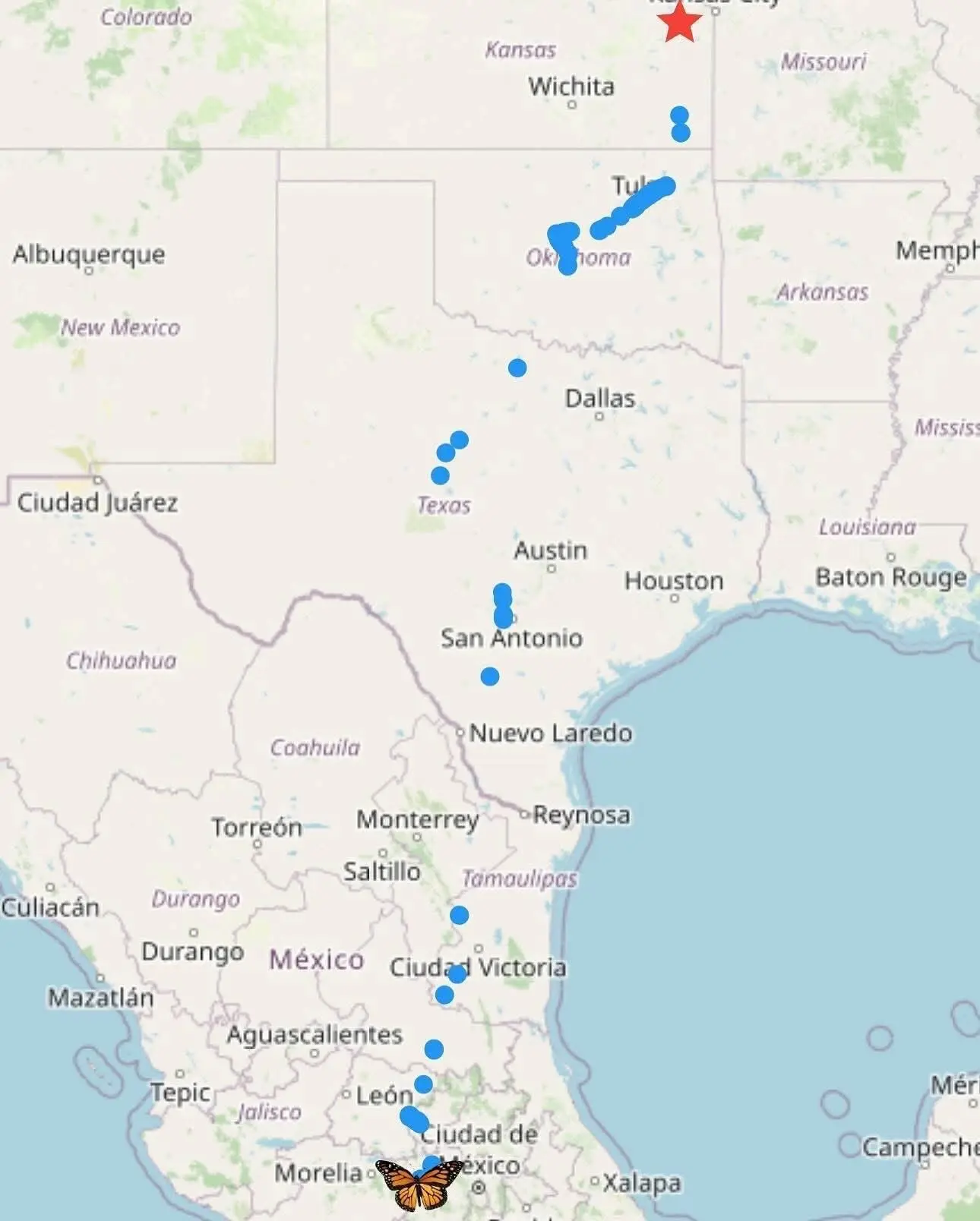 Mariposa Monarca viaja 43 días para llegar a Michoacán. Foto: Cortesía