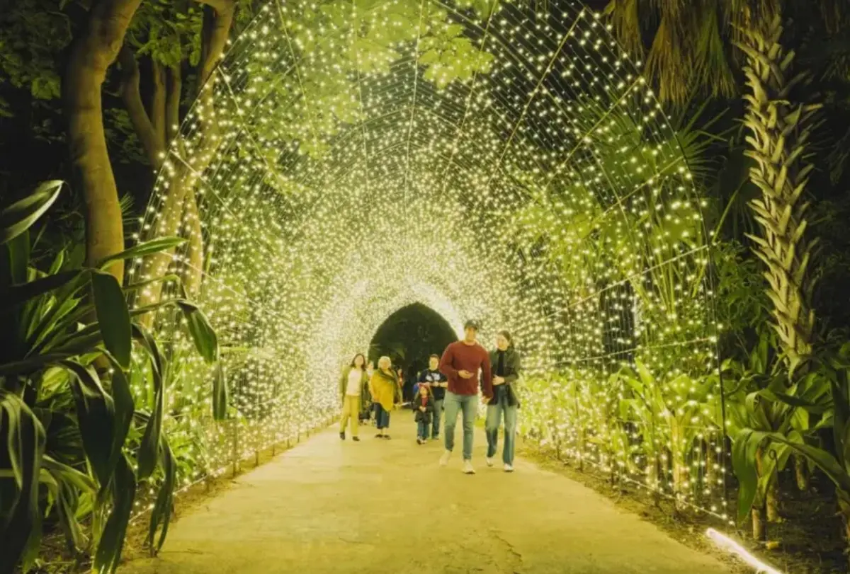 Navidad en el Botánico 2025 Culiacán: fechas, horarios y costos del recorrido más mágico del año