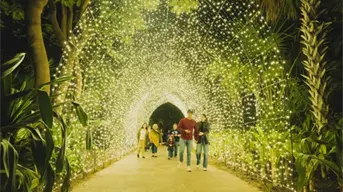 Navidad en el Botánico 2025 Culiacán: fechas, horarios y costos del recorrido más mágico del año