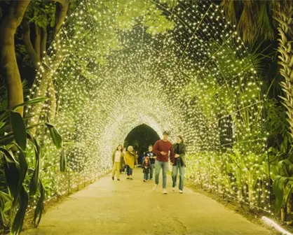 Navidad en el Botánico 2025 Culiacán: fechas, horarios y costos del recorrido más mágico del año