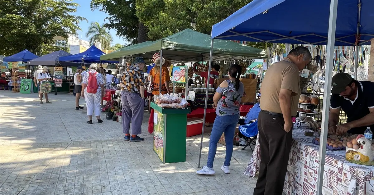 Mercado Orgánico de Mazatlán, 15 años fomentando el consumo responsable en la comunidad