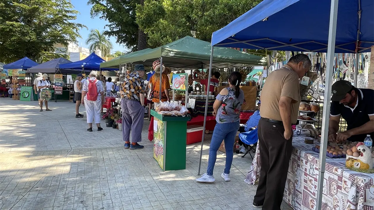 La Plazuela Zaragoza alberga todos los sábados al Mercado Orgánico de Mazatlán, una iniciativa de productores del sur de Sinaloa que ofrecen productos naturales, frescos y elaborados con prácticas responsables