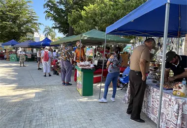 Mercado Orgánico de Mazatlán, 15 años fomentando el consumo responsable en la comunidad