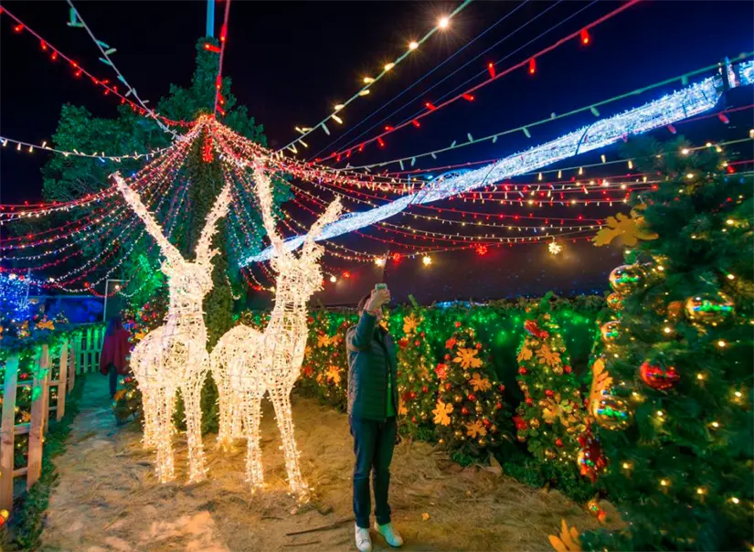 Disfruta de la Villa Iluminada de Atlixco 2025. Foto: cortesía.