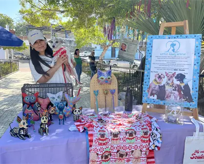 Amor que transforma: Yajaira Fuentes y su lucha por los animales en Mazatlán