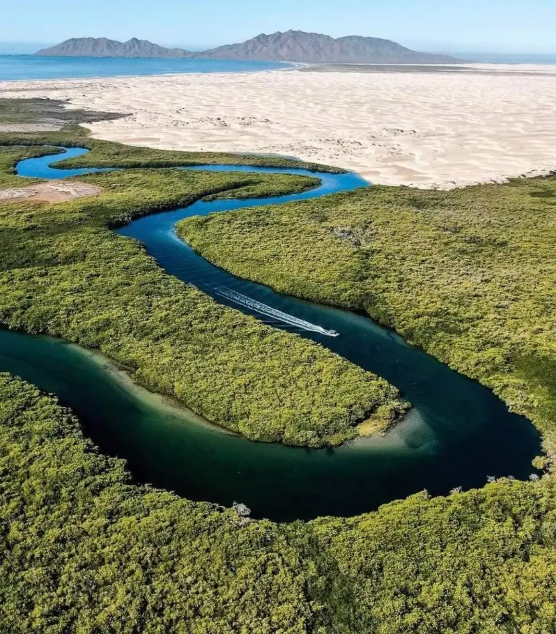 Bahía Magdalena, la ruta más completa para practicar kayak. Foto: cortesía.