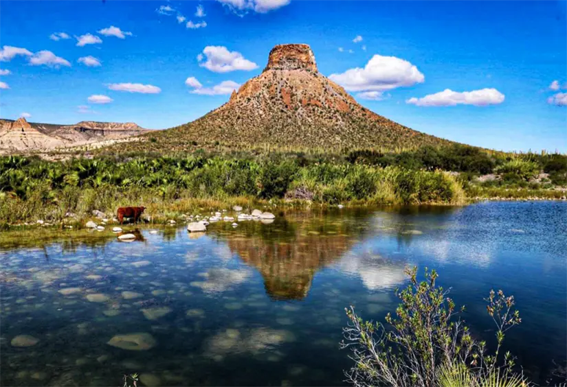 Disfruta de los paisajes de Comondú en cada una de las rutas para kayak. Foto: cortesía.