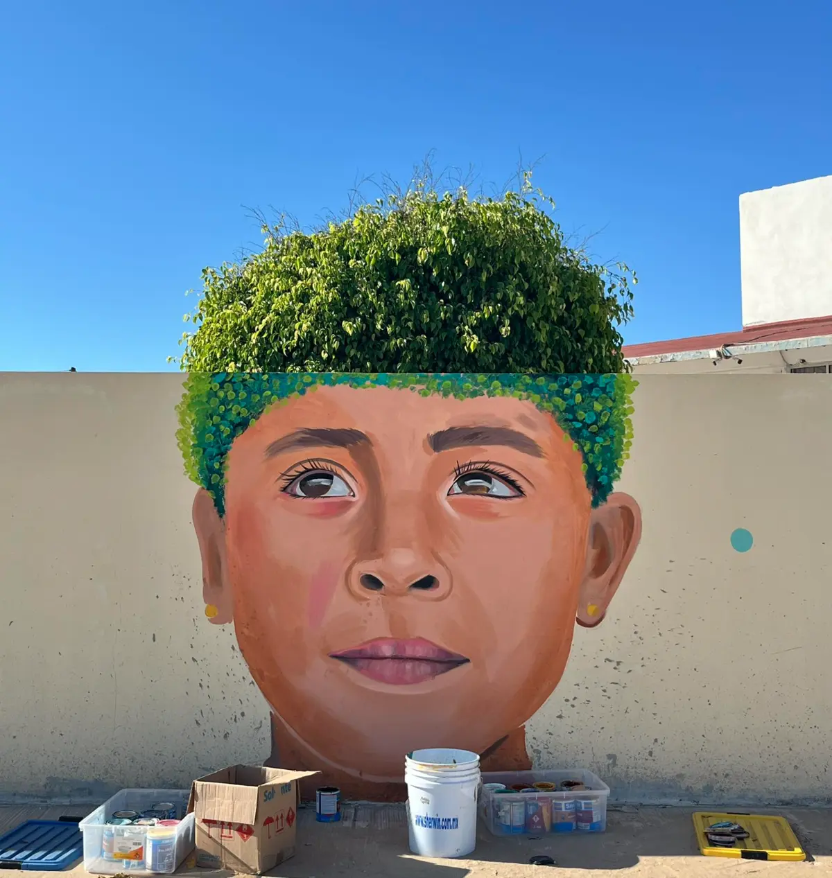 Diseño del artistas Daniel Soto Valenzuela en Guerrero Negro, BCS. Foto: Facebook Dansv Vela.