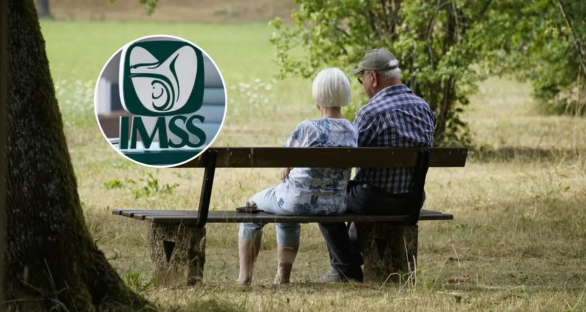 Conoce los requisitos que solicitará el IMSS para pensionarte por la Ley 97. Foto: Cortesía.