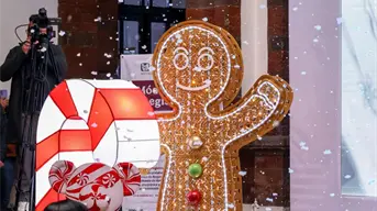 Pista de hielo, encendido de árbol, desfile y más en el Festival Navideño de Toluca 2025