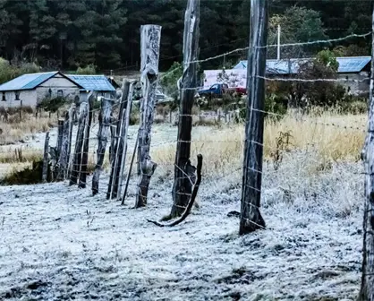 ¿Qué estados afectará el Frente Frío 17 y cuándo llegará?