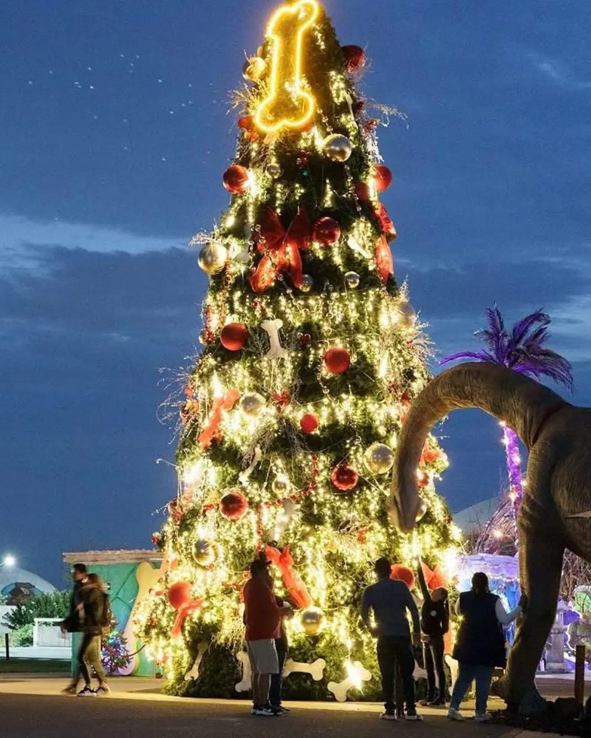 Presentan Navidad Encantada en el Parque Guanajuato: Cortesía