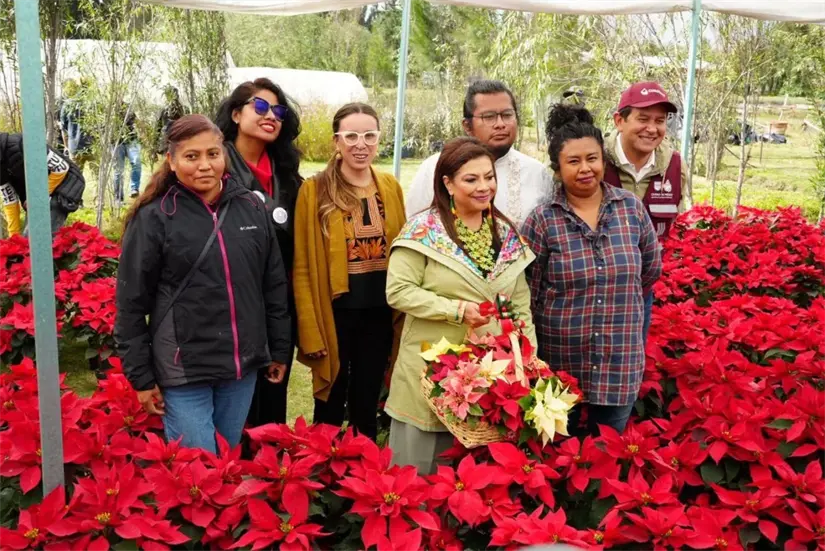 Inicia la temporada Nochebuenas en CDMX. Foto: Cortesía