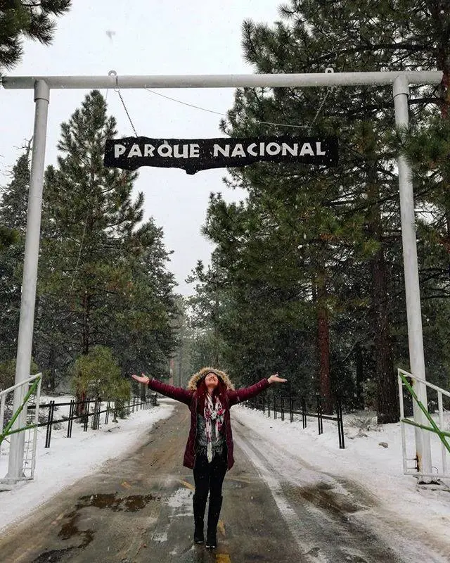 Parque Nacional Sierra de San Pedro Mártir, a tan solo 135 km al este de San Quintín. Foto: Cortesía.