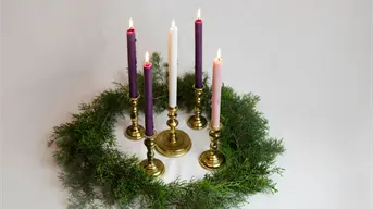 ¿Cuáles son los 4 temas del Adviento?