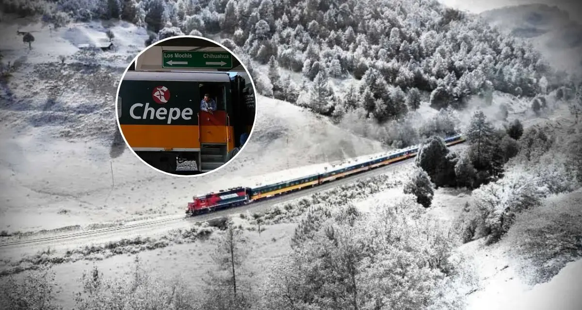 Estos son los precios de los boletos individuales y en paquete para viajar en el Tren Chepe. Foto: cortesía