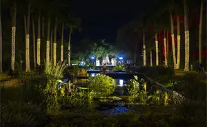 Navidad en el Botánico 2025: Culiacán brilla con “Un Jardín de Luz”