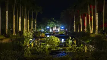 Navidad en el Botánico 2025: Culiacán brilla con “Un Jardín de Luz”