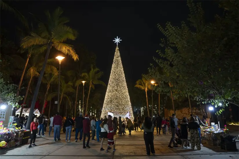 Así luce el jardín Botánico en esta Navidad 2025.