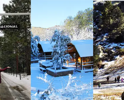 Desde Tecate hasta Mexicali, estos Pueblos Mágicos de Baja California son ideales para visitar en invierno